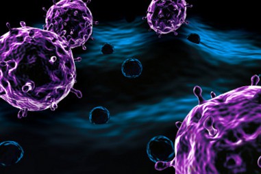 Vật liệu nano chứa đồng có thể diệt các tế bào ung thư của chuột