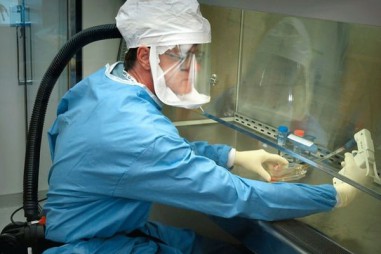 Virus mới ở Trung Quốc: Các nhà khoa học đi tìm câu trả lời cho 5 câu hỏi