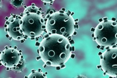 Phục vụ cộng đồng khoa học các công bố mới nhất về dịch do virus Corona