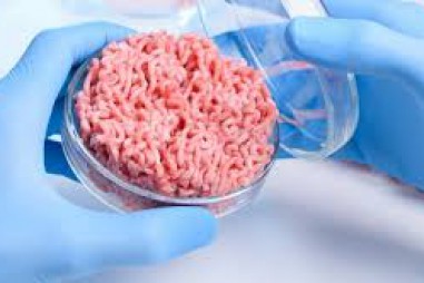 Loại thịt tương lai, không chăn nuôi nhân tạo từ tế bào gốc, rau củ...