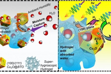 Khai thác thời tiết nóng ẩm để tạo tài nguyên