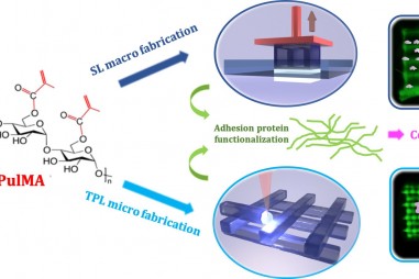 Mỹ phát triển màng lọc hydrogel để tái sử dụng nước