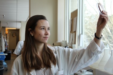 Phát hiện mới về cách kháng sinh tiêu diệt vi khuẩn