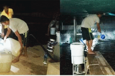 Sử dụng dịch nano bạc khử khuẩn, người nuôi tôm thu lợi nhuận gấp ba