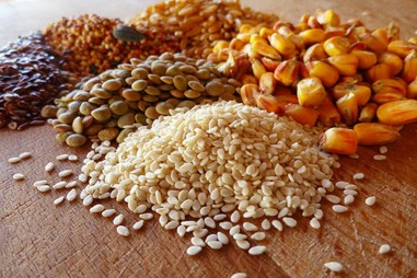 Chất lượng nguyên liệu thức ăn chăn nuôi