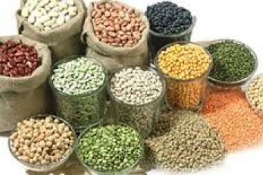 Chất lượng nguyên liệu thức ăn chăn nuôi