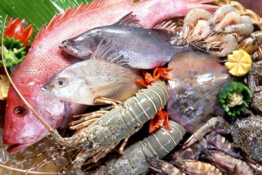 Kháng sinh trong thủy sản