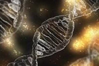 Phát hiện đột biến gien khiến sức chịu đựng dẻo dai của con người suy giảm