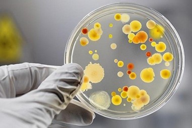 Xác nhận giá trị sử dụng phương pháp thử trong phân tích vi sinh