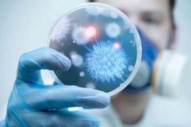 Hướng dẫn áp dụng các phương pháp phân tích vi sinh và xác nhận giá trị sử dụng của phương pháp