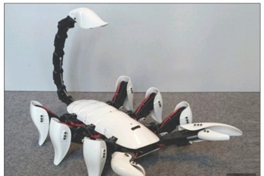 Bọ robot đàn hồi cho tìm kiếm, cứu hộ cứu nạn