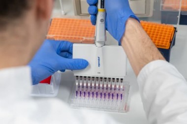 Vì sao đến nay mới nghiên cứu vaccine ngừa virus corona cho người?