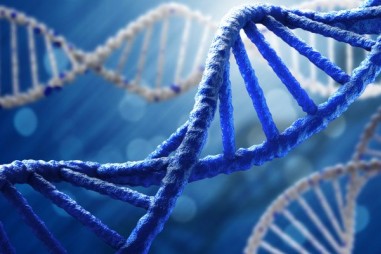 Một số gen liên quan đến bệnh đái tháo đường tuýp 2 ở nhóm người Kinh tại Việt Nam