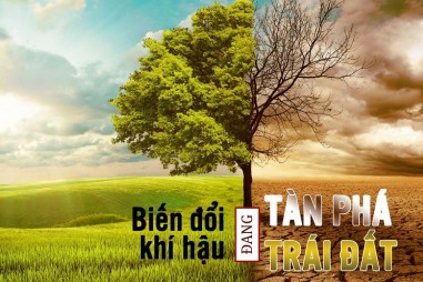 Bốn vũ khí hữu hiệu cho cuộc chiến chống lại biến đổi khí hậu