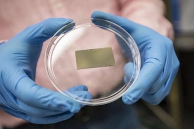 Bước tiến mới trong sản xuất năng lượng xanh từ quang hợp nhân tạo