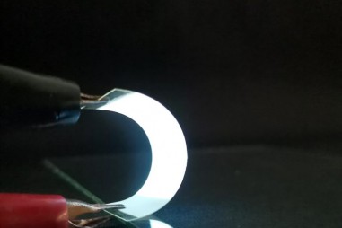 Sử dụng vảy cá để làm thiết bị điện tử có độ linh hoạt và bền vững cao