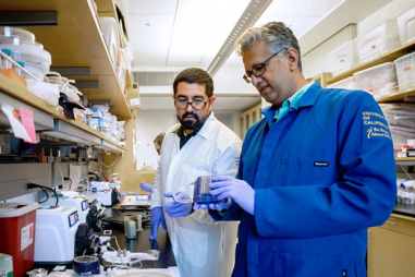 Thận nhân tạo và thiết bị lọc máu thu nhỏ có thể cứu sống hàng triệu người