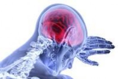 Úc tìm được cách phục hồi não sau chấn thương