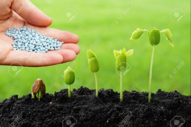 Chất kích thích sinh trưởng trong phân bón