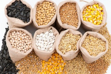 Chất lượng nguyên liệu thức ăn chăn nuôi