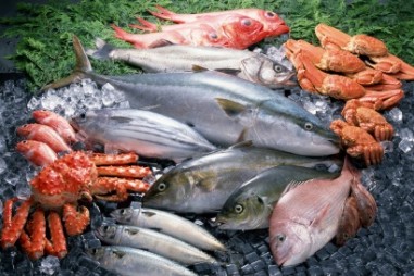 Phân tích hàm lượng Melamine trong thủy sản