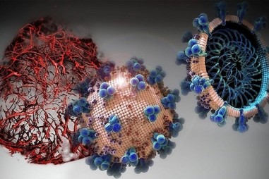 Phát hiện thuốc khiến nCoV nhân lên chậm hơn 1.000 lần