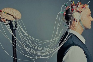 Các nhà khoa học phát triển AI có thể biến hoạt động não thành văn bản