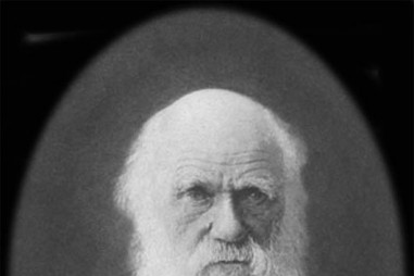 Những nhà khoa học tự thí nghiệm trên bản thân