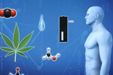 Nghiên cứu đánh giá các thiết bị đo nồng độ cần sa qua hơi thở