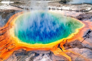 Loài vi khuẩn khiến xét nghiệm nCoV khả thi