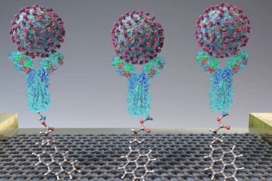 Phương pháp đặc biệt giúp phát hiện Sars-CoV-2 trong thời gian chưa đầy một phút