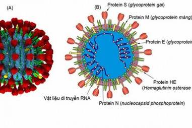 Cảm biến phát hiện nCoV trong không khí