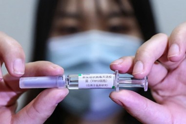 Vaccine Covid-19 sinh kháng thể khi thử nghiệm trên khỉ
