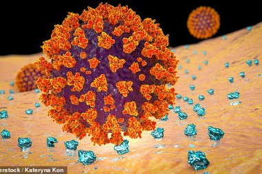 Thử nghiệm thuốc ung thư ngăn chặn lây lan virus corona trong cơ thể