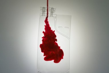 Các nhà khoa học đang muốn cô máu thành dạng bột pha như sữa, giúp bảo quản được lâu và tiện dụng hơn