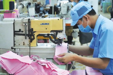 60% TCVN hài hòa tiêu chuẩn quốc tế vào cuối năm 2020