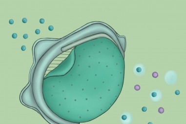 Màng lọc thay thế mang lại hiệu quả cao hơn cho khẩu trang N95