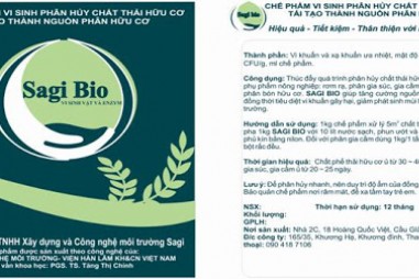 Ứng dụng công nghệ sinh học giúp giải quyết ô nhiễm môi trường