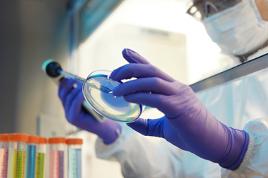 Cách chọn găng tay phù hợp để bảo vệ quy trình thử nghiệm và sức khỏe của các nhà khoa học