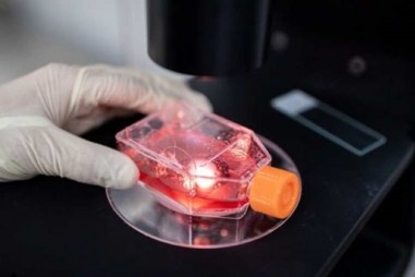 Kết quả thử nghiệm vắcxin của Trung Quốc và Italy cho kết quả khả quan