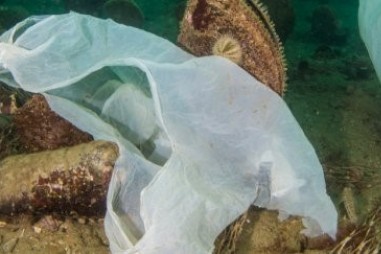 Các nhà khoa học thử nghiệm nhựa chìm sâu dưới nước hơn 20 năm, với kết quả đáng buồn