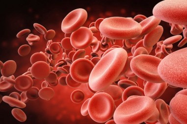 Chế tạo thành công hồng cầu nhân tạo