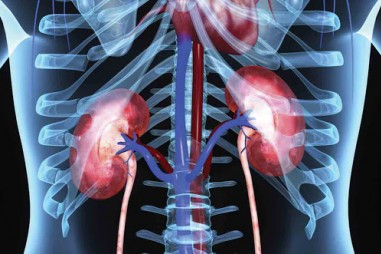 Nghiên cứu cho thấy sử dụng allopurinol để điều trị bệnh thận không hiệu quả
