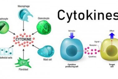 Nghiên cứu về cơn bão cytokine gợi mở một số ý tưởng  trong hướng điều trị Sars – CoV-2