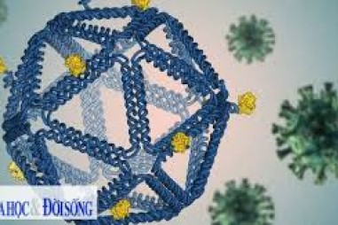 Công nghệ xác định cấu trúc ADN giúp điều chế văcxin