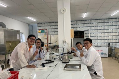 Gỗ, giấy bền nhờ… rơm rạ