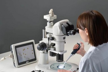 Đẩy nghiên cứu virus đến giới hạn: Những kiến thức từ kính hiển vi định vị đơn phân tử