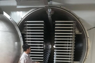 Máy sấy thăng hoa DS-10