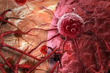 Tìm ra chất gây độc cho tế bào ung thư