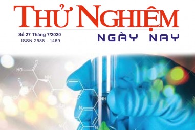 Thử nghiệm Ngày nay số 27
